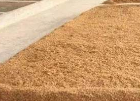 多微麩曲酒好喝嗎？