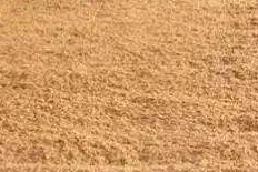 多微麩曲口感怎么樣？